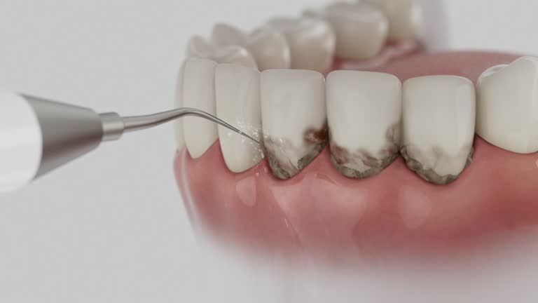 Reliable Dental contractor in Middleburg Heights, OH by Dentist Open Now